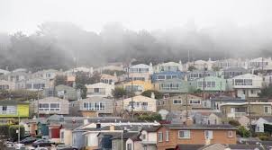 Image result for Doellia