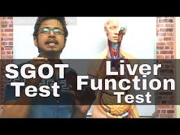 Sgot Blood Test In Hindi Youtube