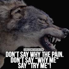 4.5 out of 5 stars. 20 Strong Wolf Quotes To Pump You Up Wolves Wolfpack Quotes