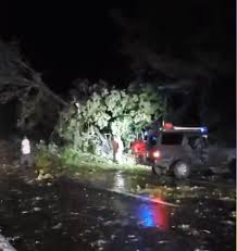 The tennessee river is the largest tributary of the ohio river. May 4 2020 Severe Storms High Winds