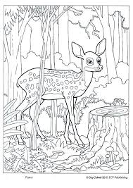 May be reproduced for local use only. Fawn Coloring Pages 116 Fine Coloring Architect