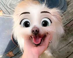 This New Snapchat Filter Makes Your Dog Look Like A Disney Character »  Design You Trust — Design Daily Since 2007