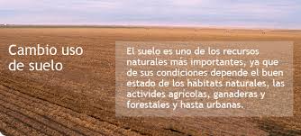 Resultado de imagen para suelo