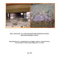 PDF) HULL FOULING AS A MECHANISM FOR MARINE INVASIVE SPECIES INTRODUCTIONS  PROCEEDINGS OF A WORKSHOP ON CURRENT ISSUES AND POTENTIAL MANAGEMENT  STRATEGIES FEBRUARY 12-13 2003