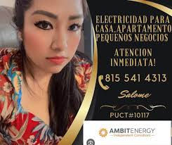 Electricidad económica