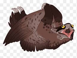 Der landesbund für vogelschutz (lbv) plant die ansiedlung von drei jungvögeln im nationalpark berchtesgaden in den bayerischen alpen. Bartgeier Vogel Greif Potoo Vogel Tier Tiere Png Pngegg