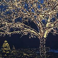 Solar Powered Warm White Led Fairy Lights 55 Ft Led Fairy Lights Christmas Light Installation Fairy Lights