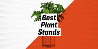 Black wrought iron metal plant stand holds 3 flower pot rack indoor outdoor usa. The 10 Best Plant Stands To Upgrade Your Space 2021