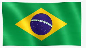 Choose the country flag that you want overlaying your picture. Brazil Flag Png Images Transparent Brazil Flag Image Download Pngitem