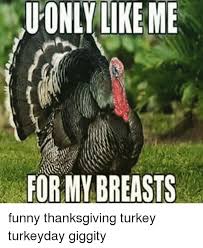 So, if you are a fan of the thanksgiving day humour relying on these facts mostly, this is a gallery for you. Only Like Me For My Breasts Funny Thanksgiving Turkey Turkeyday Giggity Meme On Me Me