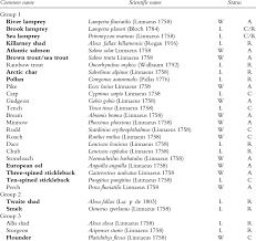 Here, seafood types beginning with c, such as carp, catfish, clam and crab. List Of Freshwater Fish Species Of Ireland Download Table