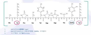 Helping iznd group sdn bhd is feeling honoured. Mussel Extract R D Prescription Mm Cosmetic Sdn Bhd Newpages Sg The Most Effective Online Business Platform Suppliers Wholesalers Retailers Manufacturers Servicers Exporters Importers