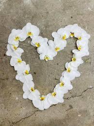 Maybe you would like to learn more about one of these? Import Flowers Home Facebook