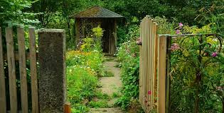 Nelle nostre schede potrete leggere tante curiosità e consigli riguardanti le diverse varietà di vegetazione spontanea che sviluppano fiori dal colore bianco; La Riproduzione Delle Specie Erbacee Come Avviene