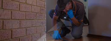 The good thing about father & son pest control is that they have the necessary equipment for finding bee infestations such as laser thermometers and miniature cameras. Pest Control Scottsdale Best Exterminators Near You A Bee Pest Pro