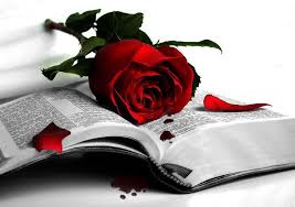 Black And Red Rose Wallpaper Black And White Black Flower Flowers Love Photography Red Rose Roses 163890 Black And White Books Red Roses Rose Wallpaper