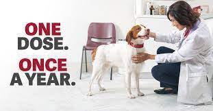 28k likes · 290 talking about this · 212 were here. Home Ez Pet Clinic