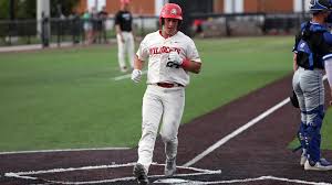 BASEBALL DROPS HEARTBREAKER TO SAINT FRANCIS