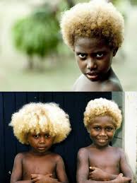 Shampoos and conditioners with a purple hue will help keep your hair from transitioning from bright blonde to straw yellow. O Xrhsths Facts About Africa Sto Twitter Black Peeps With Natural Blonde Hair No They Re Not African Nor Do They Live In Africa Melanesian Https T Co Gcdmlpegsm