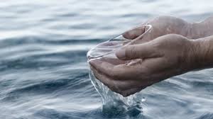 ماذا عن كوب منعش من مياه البحر الجزء الأول الباحثون المصريون