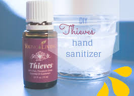 We did not find results for: Diy Thieves Hand Sanitizer Andi Sigsbey