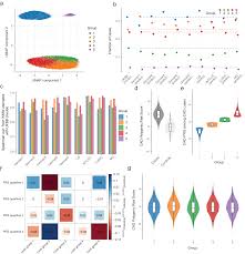 Distinct genetic liability profiles define clinically relevant patient  strata across common diseases | Nature Communications