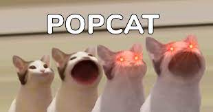 และนี่คือ น้องแมว oatmeal แมวออริจินัล ของเกม popcat. 36qxsvlmvgnram