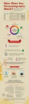 Graphs Infographics Teaching Chemistry Chemistry Education Gas Chromatography