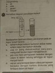 V alat dan bahan : Mohon Dijawab Dengan Benar Brainly Co Id