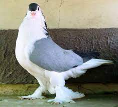 pin on nature you are gorgeous