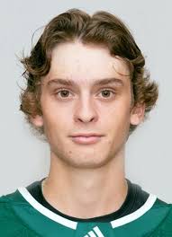 Minot Minotauros (NAHL) Player Register at hockeydb.com