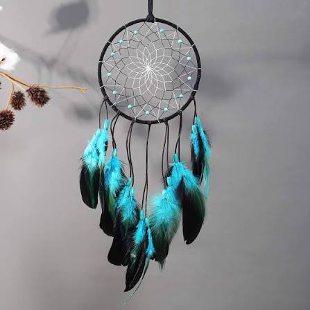 Dream Catcher with Bicolor Mesh, Handmade Dark Tone Dreamcatcher with Black  and Turquoise Feather Wall Hanging Decoration : Amazon.ca: Home