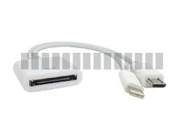 Open Box Oem Apple 30 Pin Female To Micro Usb Male 8 Pin Lightning Male Short Charge Cable Adapter Converter For Iphone 4s 4 Ipad 3 2 To Ipad 4 Mini