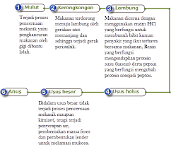 Maybe you would like to learn more about one of these? Kunci Jawaban Tema 3 Kelas 5 Halaman 12 13 16 17 Pembelajaran 2 Subtema 1 Buku Tematik Halaman All Tribun Padang