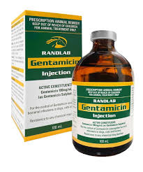 Image result for Gentamicin