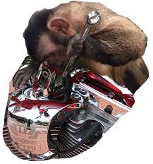 Sequence, an ordered list of elements, especially one of infinite length; Big Dog Motorcycle Parts