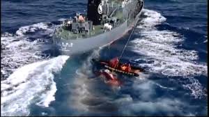* share your fascination about greenpeace * discuss threats greenpeace is facing * contribute news about activities of this great ngo * meet other. Greenpeace In Action Youtube