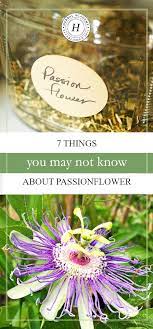 7 Things You May Not Know About Passionflower