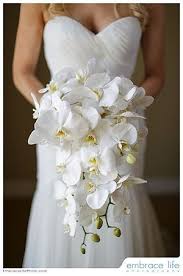 We did not find results for: Wedding Bouquet By Butterfly Flora And Event Design Orchid Bridal Bouquets Orchid Bouquet Wedding Flower Bouquet Wedding
