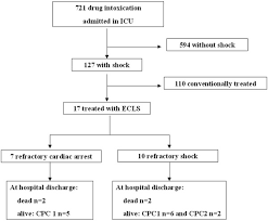 Flow Chart Indicating Patient Characteristics Cpc Cerebral