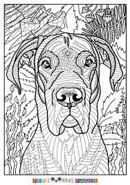 This dog coloring pages are fun way to teach your kids about dog. Free Printable Great Dane Coloring Page Available For Download Simple And Detailed Versions For Adults And Kids Ausmalbilder Hunde Ausmalbilder Ausmalen