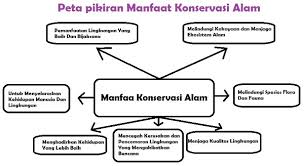Kunci jawaban tema 8 kelas 6 hal 71. Lengkap Kunci Jawaban Kelas 6 Tema 8 Subtema 2 Pembelajaran 3 Simple News Kunci Jawaban Lengkap Terbaru