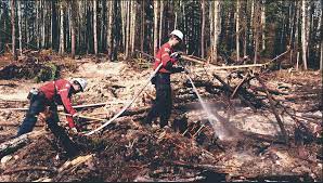 Van wikipedia, de gratis encyclopedie. Trois Feux De Foret Sont Toujours En Activite Sur La Cote Nord Le Manic