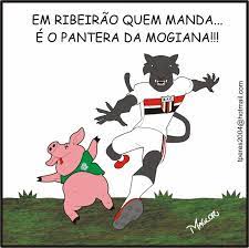 2 40% for palmeiras sp. Charge Botafogo 1 X 1 Palmeiras Charges Do Maglor