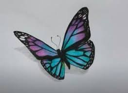 We did not find results for: Realistic Butterfly Drawing With Pencil How To Draw A Butterfly
