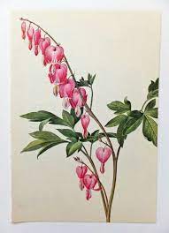 Bleeding Heart Tattoo For Nanny Heart Flower Tattoo Bleeding Heart Flower Vintage Flower Tattoo