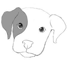 Add a curved line on the right side of the circle extending through the cheekbones. How To Draw A Dog Attention To Detail Dog Face Drawing Dog Drawing Dog Face