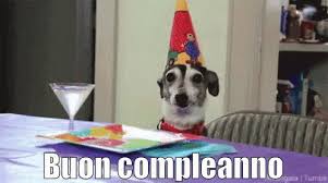 Buon Compleanno Cane Gif Auguri Buoncompleanno Torta Discover Share Gifs Cat Birthday Funny Happy Birthday Dog Happy Birthday Dog Gif