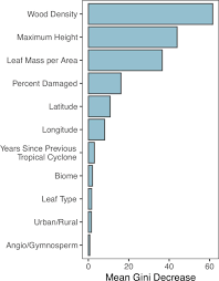 Image result for Lindackeria fragrans