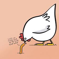 Love Is Love Chicken Childbook Digitalart Digitalillustration Illustration Illustrationinnsbruck I Digital Illustration Illustration Art Line Art